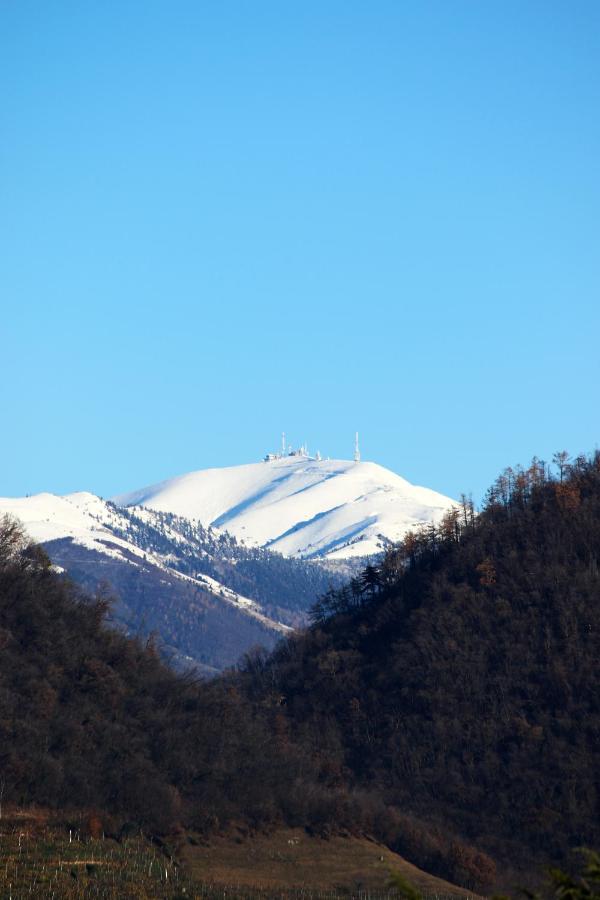 Garage Con Camere Pieve di Soligo Bagian luar foto